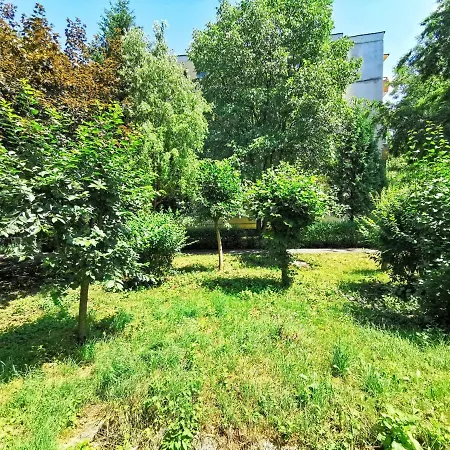 Zorilor Apartment