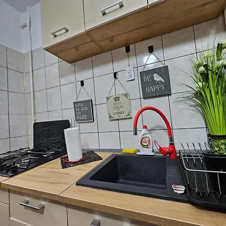 Zorilor Apartment *