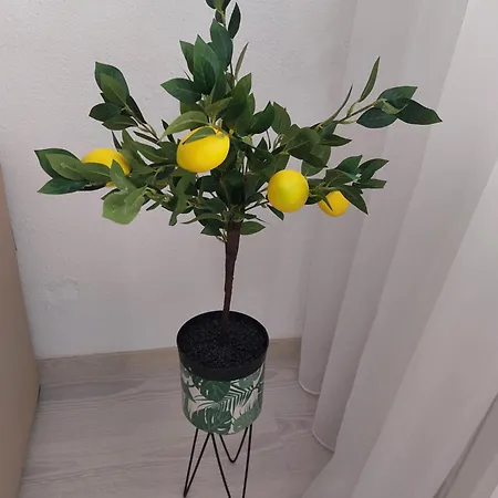 Zorilor Apartment
