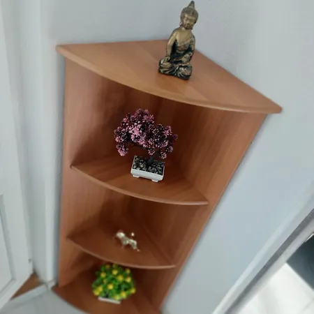 Apartment Zorilor