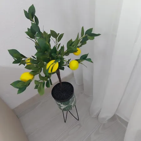 Zorilor Apartment *